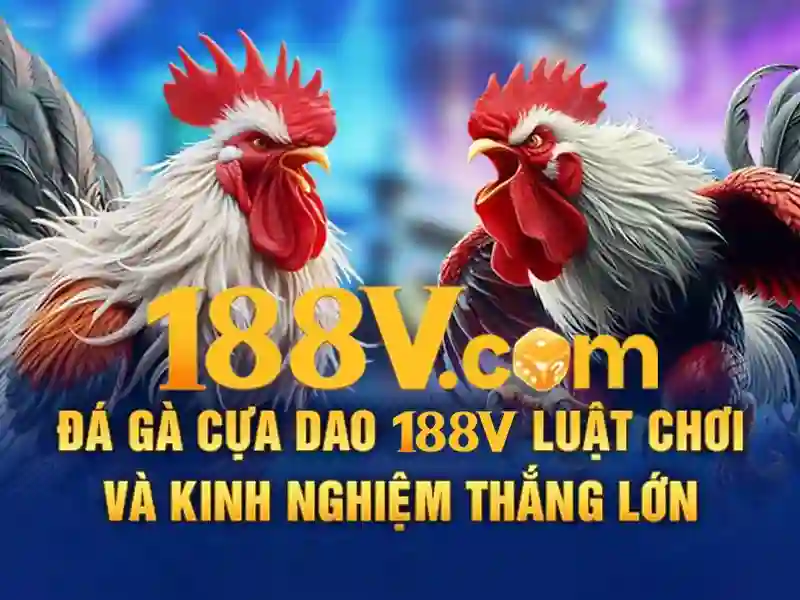 Giao diện nhà cái hoàn hảo