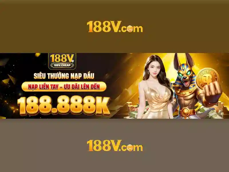 An toàn và quản lý rủi ro