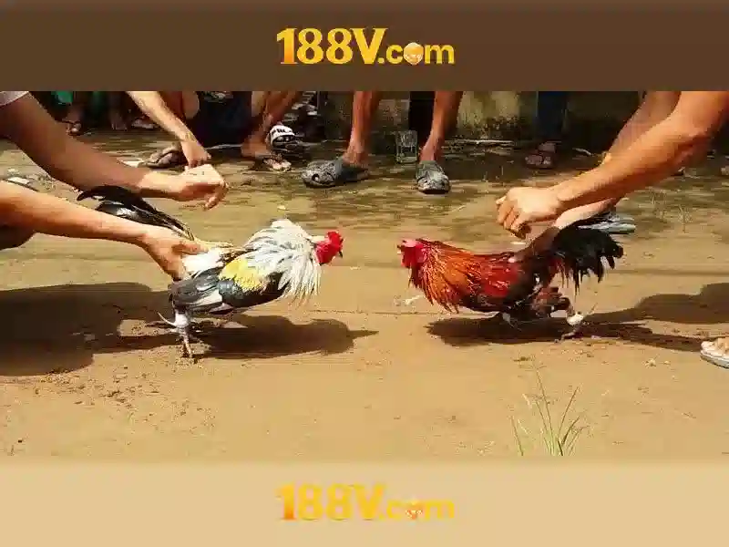 Giao diện nhà cái hoàn hảo