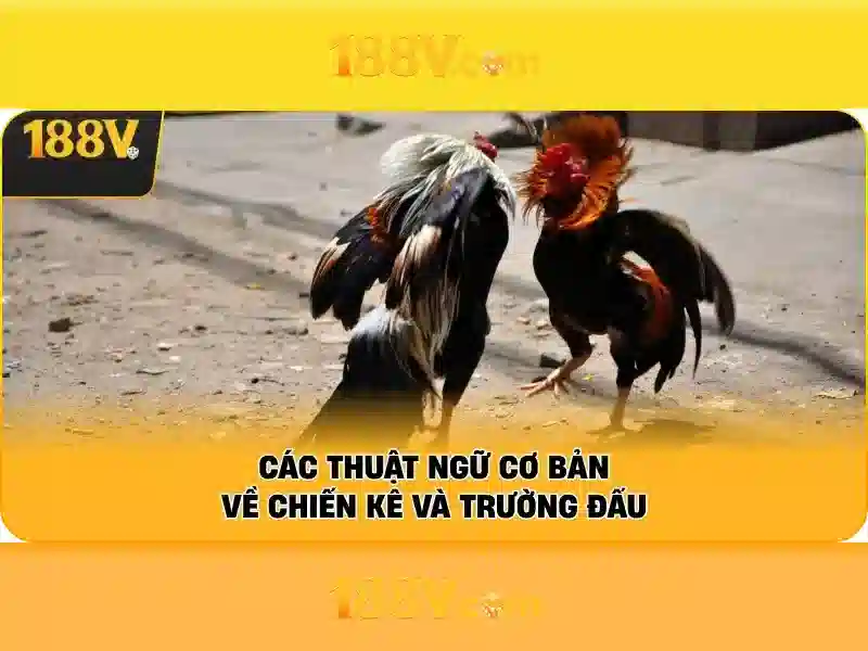 Bang ty le keo bong da chi tiet tai 188v