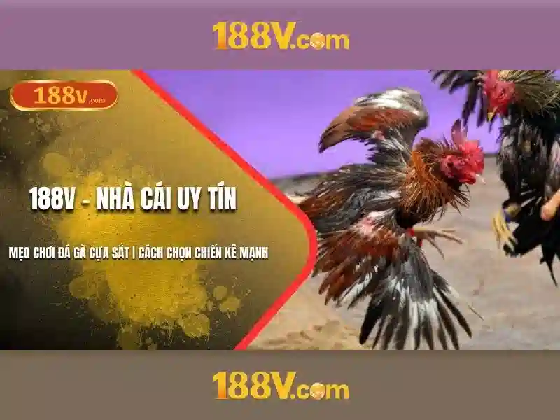 Nguồn gốc và ý nghĩa