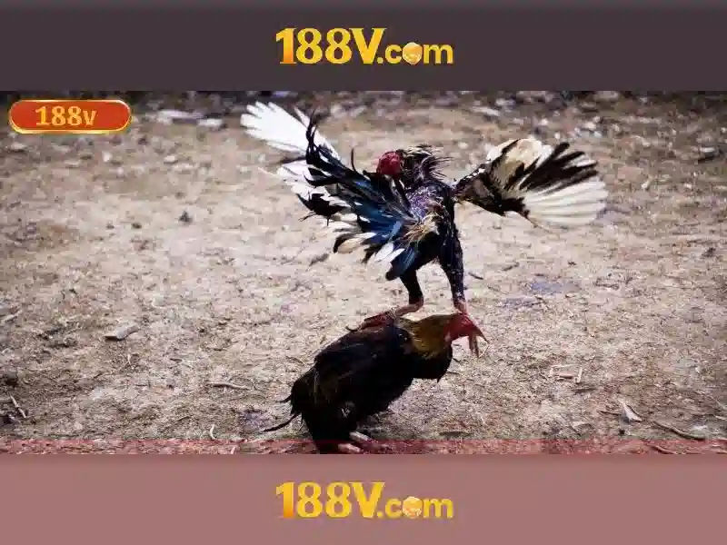 188v: Khám phá ý nghĩa và hành trình của con số huyền bí Giao diện nhà cái hoàn hảo
