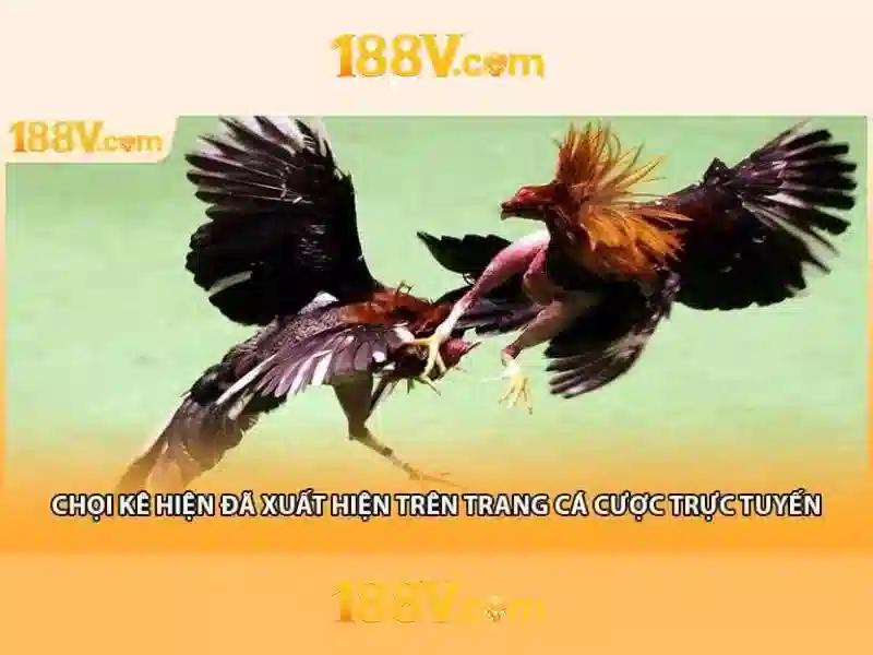Giao diện nhà cái hoàn hảo