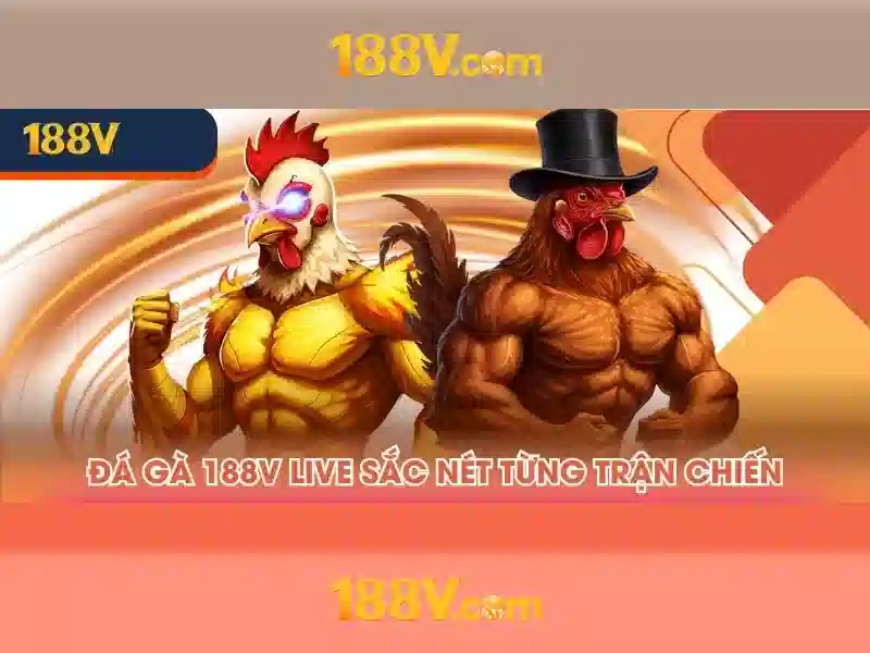Ảnh hưởng xã hội và văn hóa