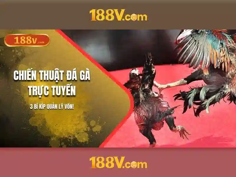 Giao diện nhà cái hoàn hảo