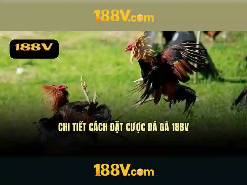 Công nghệ tỷ lệ cược động thể thao AI Công nghệ tỷ lệ cược động thể thao AI
