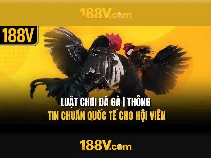 Giao diện nhà cái hoàn hảo