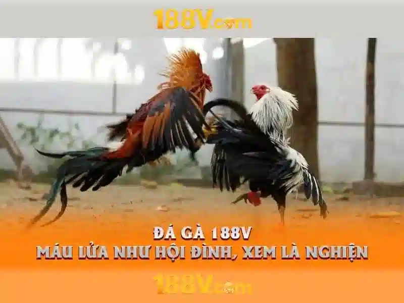 Kiểm tra và bảo dưỡng 188v