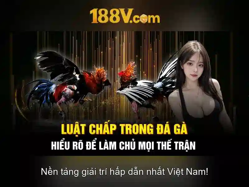 Giao diện nhà cái hoàn hảo