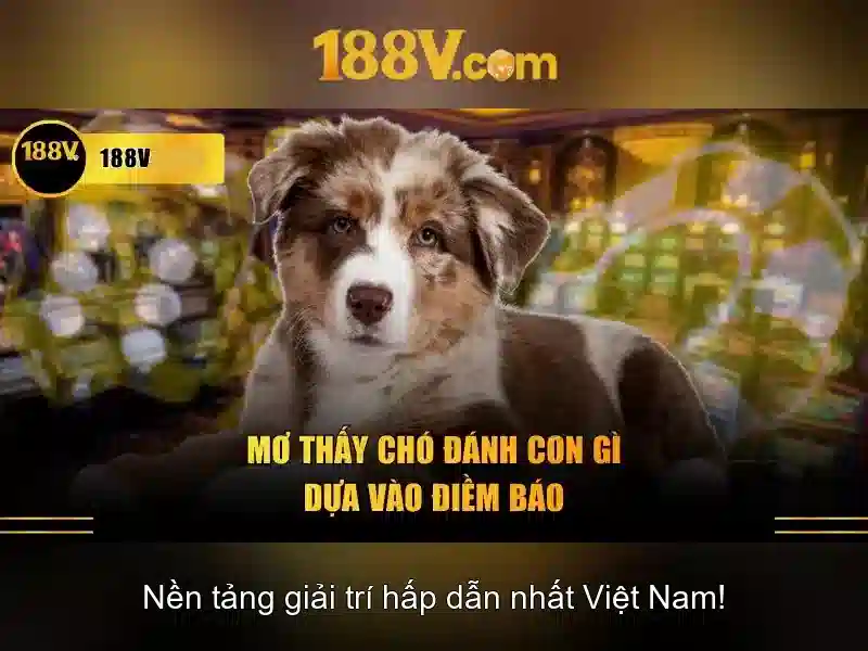 Khám phá 188v