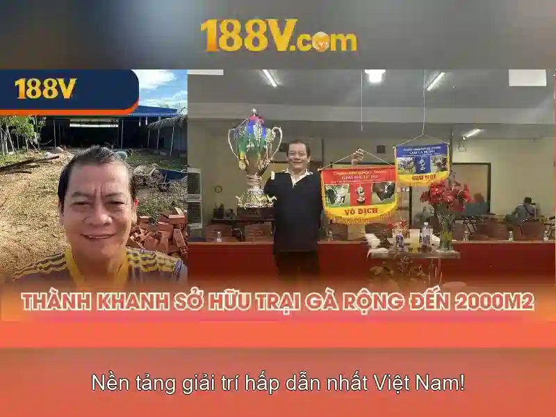 Yêu cầu cược và phổ biến