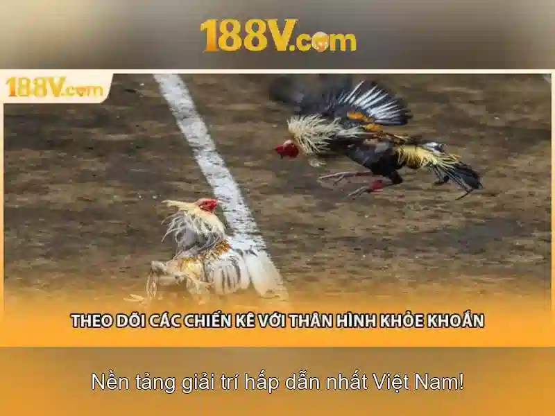 Nguồn gốc và bối cảnh