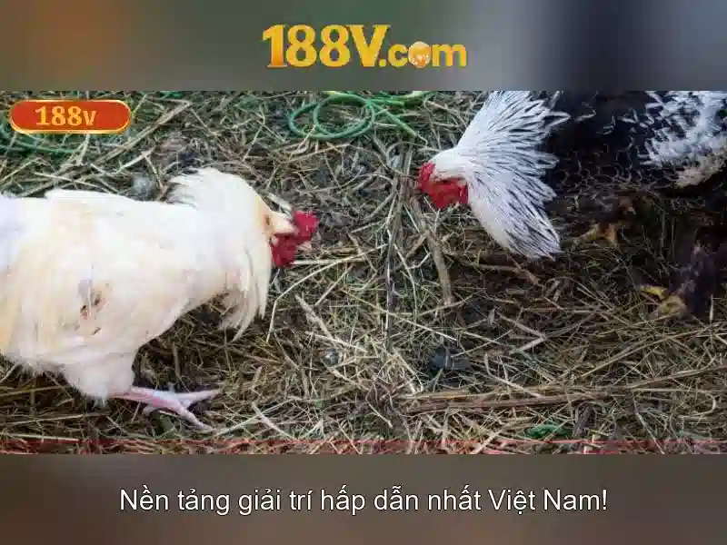 Ý nghĩa trong nghệ thuật và công nghệ