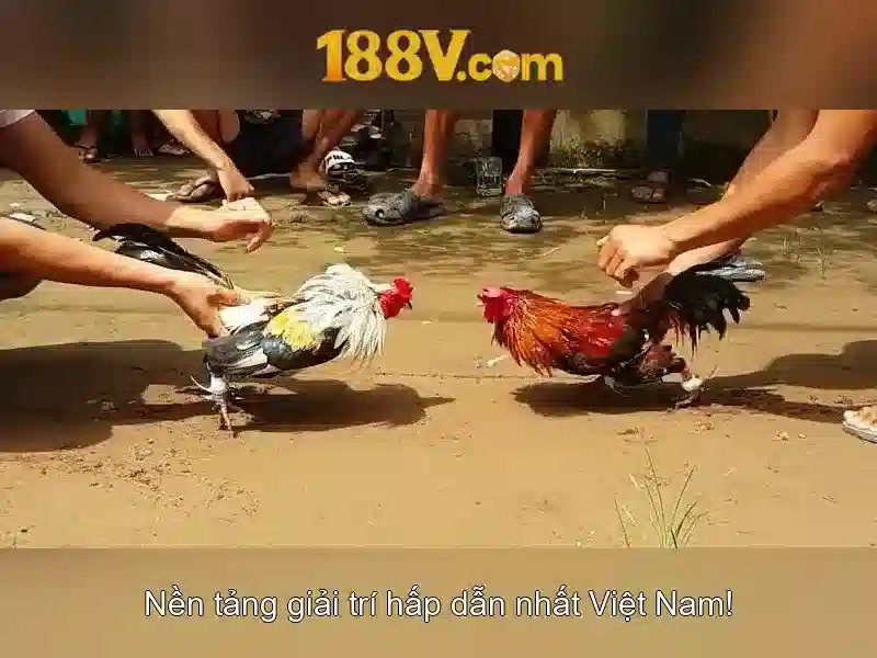 Giao diện nhà cái hoàn hảo
