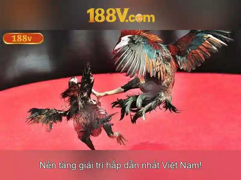 Khoi dong he thong 188v