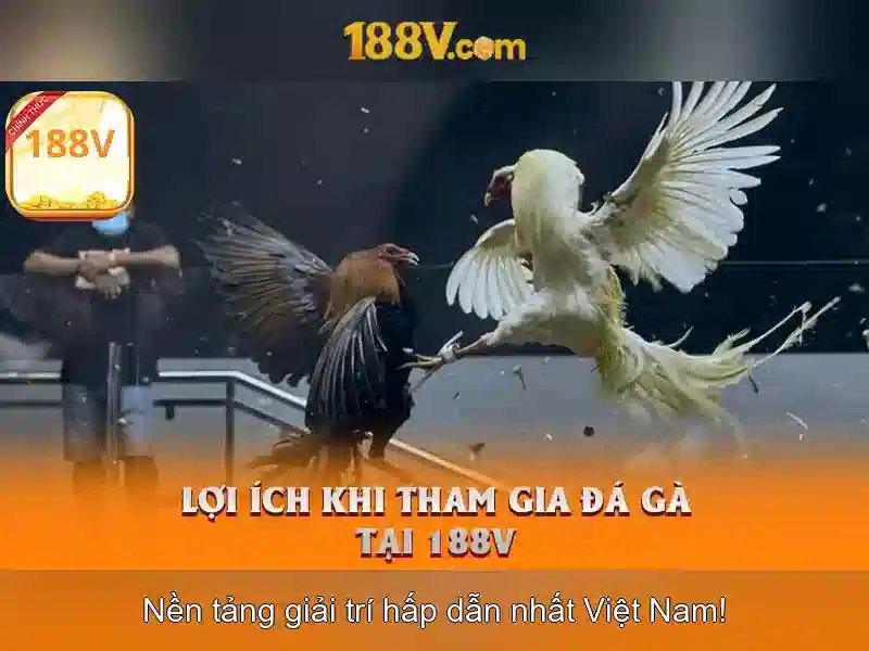 Bảng so sánh 5x5 đối thủ ngành Bảng so sánh 5x5 đối thủ ngành