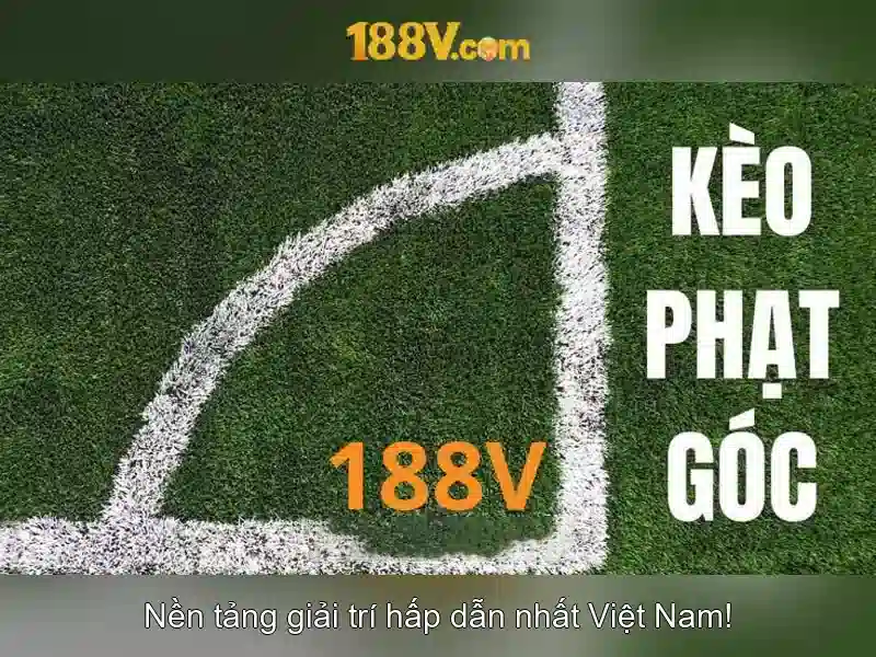Kênh liên hệ xã hội