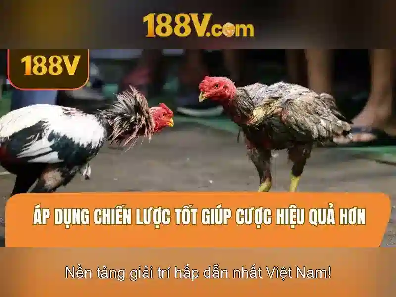 Khởi nguồn của 188v