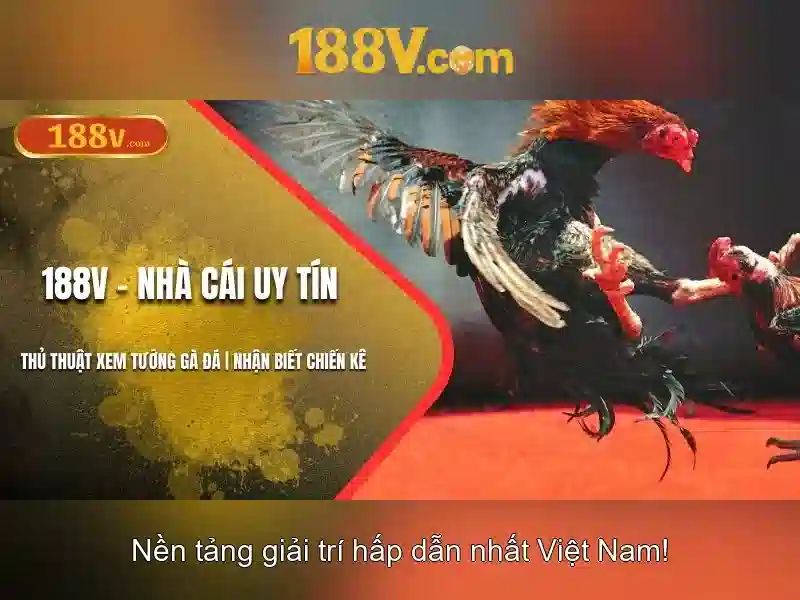 Giao diện nhà cái hoàn hảo