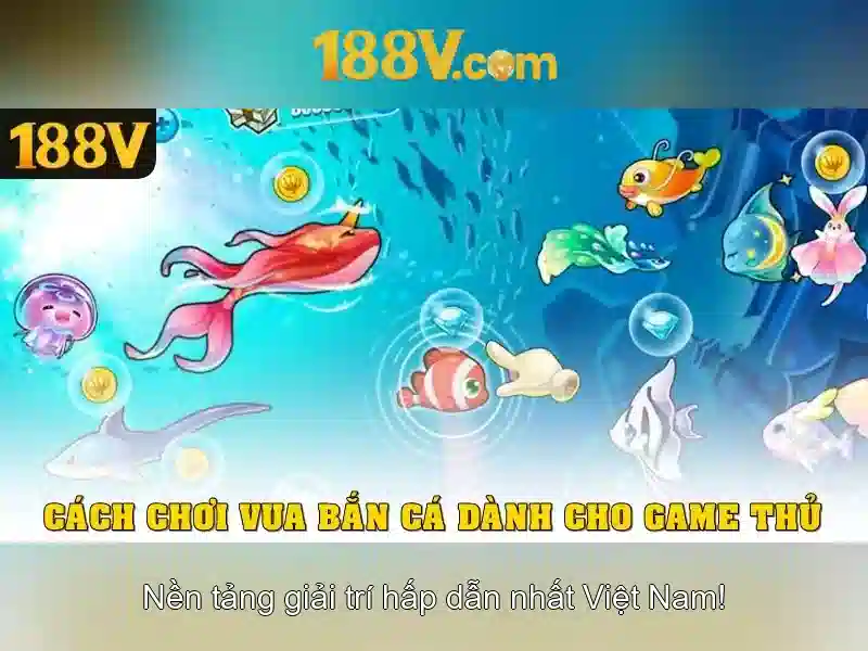 Giao diện nhà cái hoàn hảo