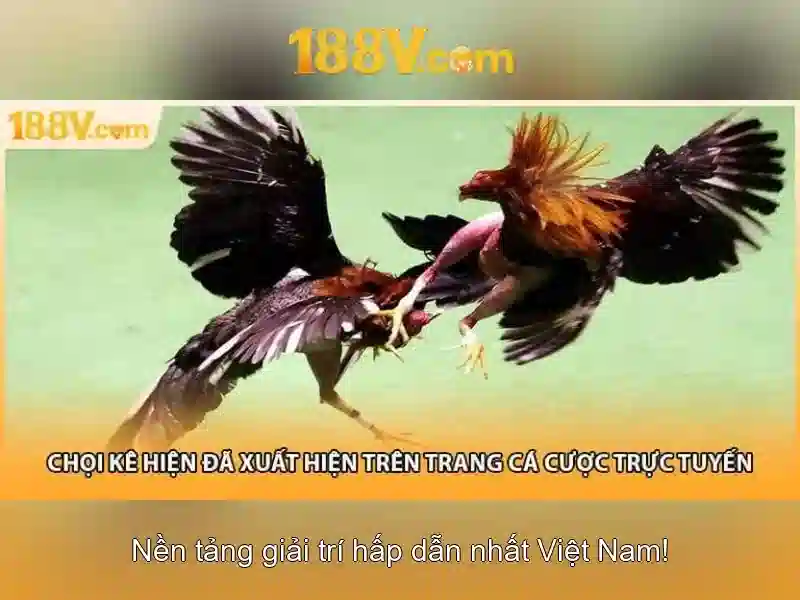 188v là gì và vì sao nó được quan tâm