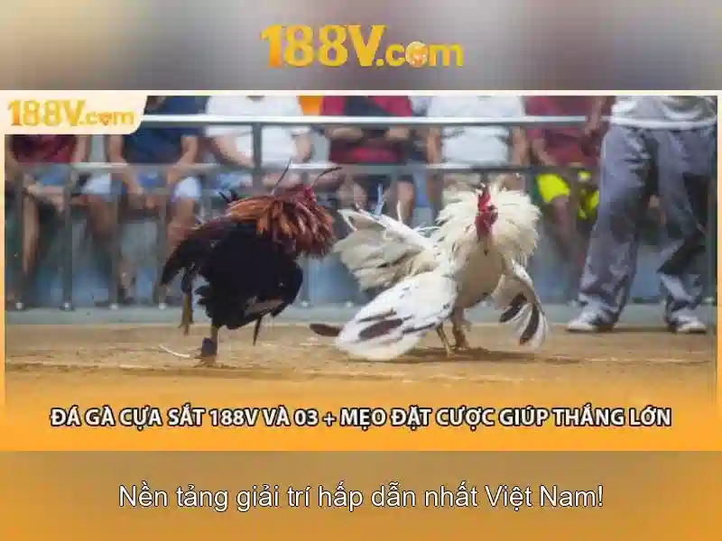 Giao diện nhà cái hoàn hảo