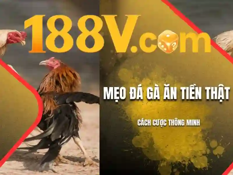 Giao diện nhà cái hoàn hảo
